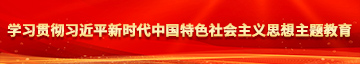 狠狠操视频网学习贯彻习近平新时代中国特色社会主义思想主题教育